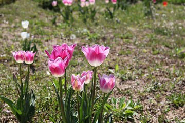 한국 인천시 남동구 인천대공원 입니다