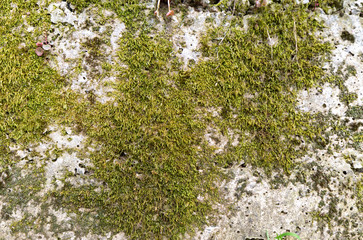 natural stone texture background, close-up