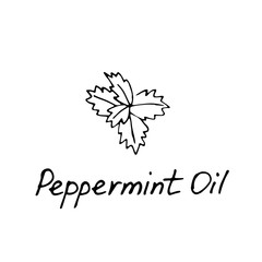 Mint green vector illustration. Hand drawn peppermint logo. Peppermint oil for cosmetic design