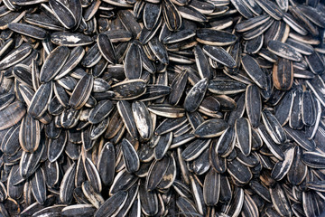 Sunflower black and white seeds background.