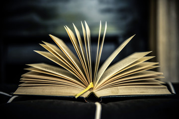 libri antlibro aperto con le pagine a ventaglio 