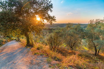 Summer sunset over the rolling hills with olive trees. Travel destination Chianti, Tuscany