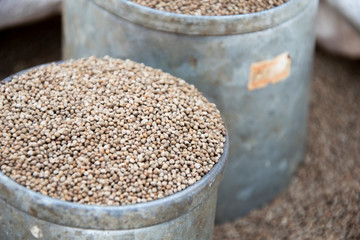 Perilla herb seed in bowl