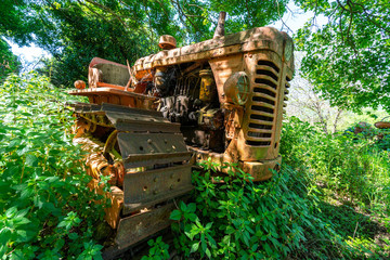 Nature takes over abandoned machines