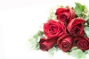 Red Rose bouquet on white background
