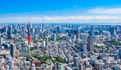 Fototapeta premium 青空と東京シティビュー