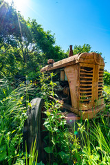 Nature takes over abandoned machines