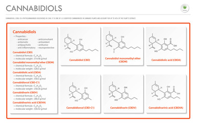 Cannabidiol CBD with Structural Formulas in Cannabis horizontal business infographic illustration about cannabis as herbal alternative medicine and chemical therapy, healthcare and medical vector.