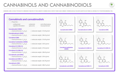 Fototapeta na wymiar Cannabinol and Cannabinodiol CBN with Structural Formulas in Cannabis horizontal business infographic illustration about cannabis as herbal alternative medicine and chemical therapy, vector.