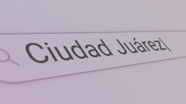 Ciudad Juarez Search Bar Close Up Single Line Typing Text Box Layout Web Database Browser Engine Concept