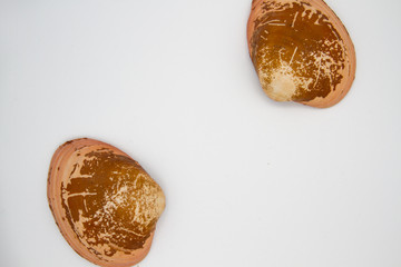 Background: Close-up of two halves of a shell