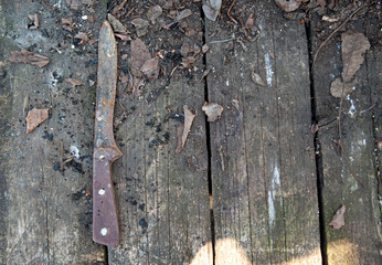 rusty knife in corrosion and various stains lies on wooden boards dusted with dry leaves and ground