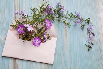 Spring concept. Floral background. Envelope with pink and violet flowers on a blue wooden background. Space for text