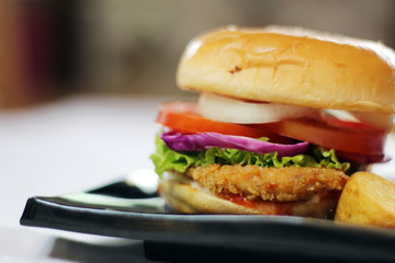 burger with french fries
