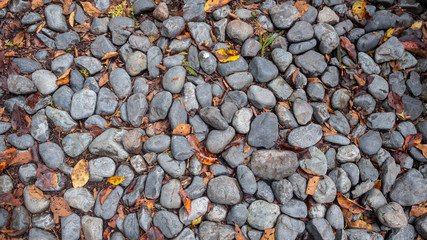 Grey stone with colorful autumn leafs on ground for background, copy space