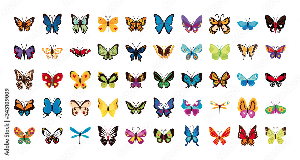 Poster bundle of butterflies set icons