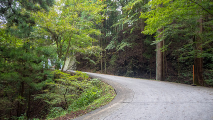 Fototapeta na wymiar Beautiful scene of small road with fresh green trees at Nikko's World Heritage Sites for background and copy space, Tochigi