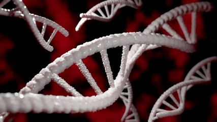 3D Rendering of rotating DNA on red background, Close up Seamless looping. - Powered by Adobe