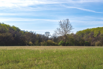 Fototapeta premium Landscapes near my home