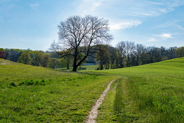 Landscapes near my home