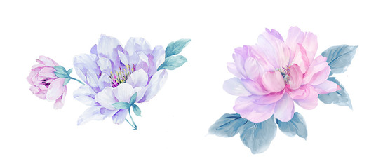 Fototapeta na wymiar Watercolor flowers