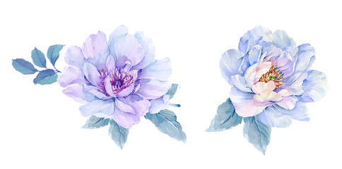 
Watercolor flowers