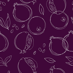 Pomegranate is isolated on a burgundy background. White vector illustration hand drawn painting. Seamless pattern sketch