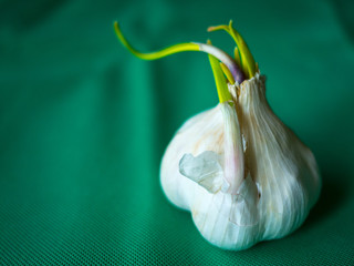 Ail 