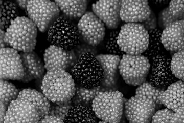 Assorted gummy candies, raspberry and BlackBerry shaped candies. The view from the top, a black and white texture photography