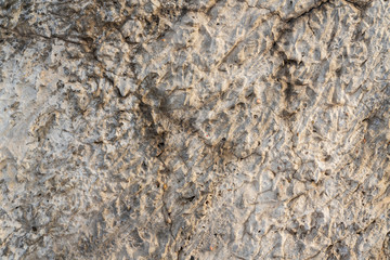textured concrete wall fragment. great grey background