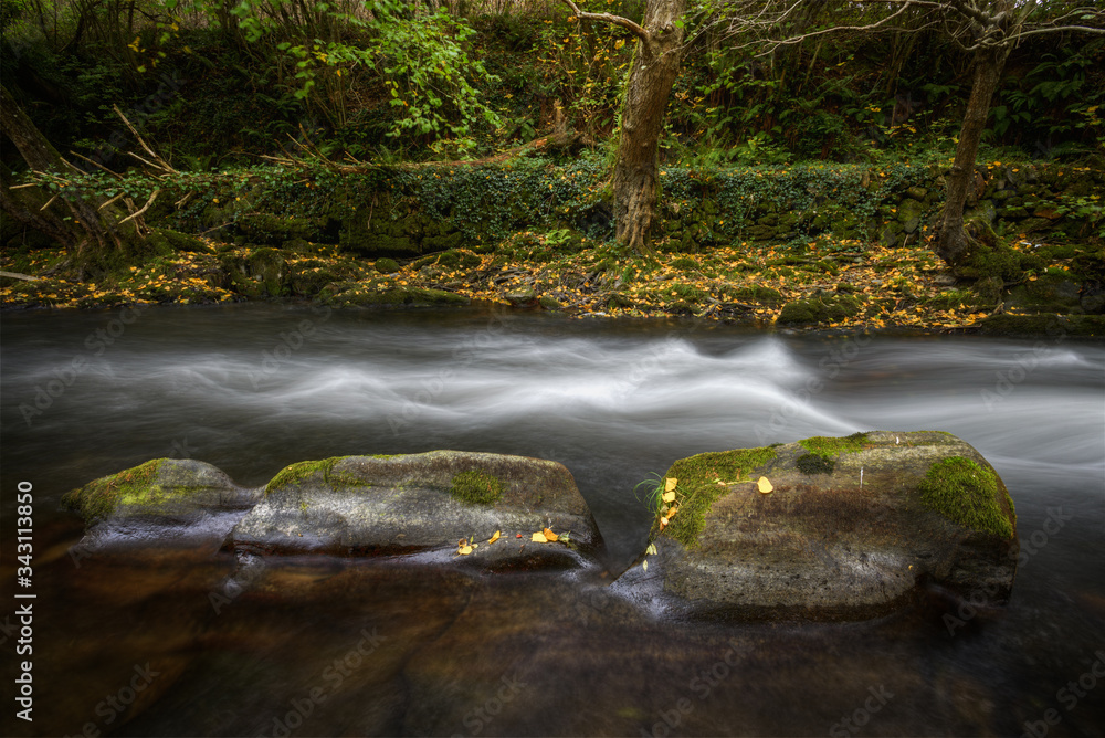 Wall mural limestone rocks backbone in a riverbed