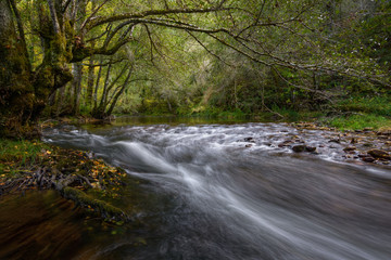 On the Banks of a River a Greyish October Afternoon