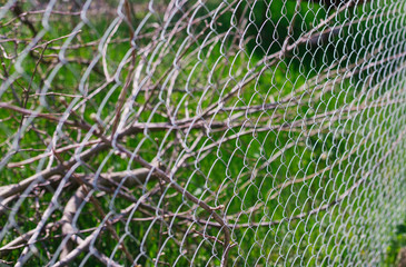 Fence made of metal mesh. Green grass. The fence between the plots.