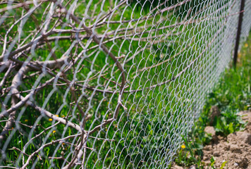 Fence made of metal mesh. Green grass. The fence between the plots.