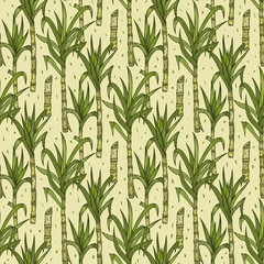 Hand Drawn Sugarcane Plants Vector Seamless Pattern. Sugar cane stalks with leaves endless background
