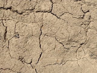 Dried mud. Desert top view. The texture of dried mud.