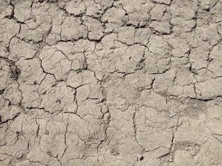Dried mud. Desert top view. The texture of dried mud.