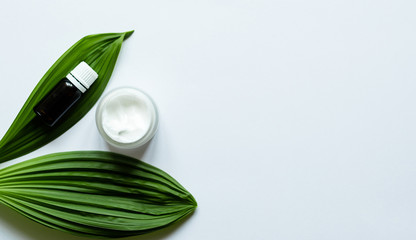 Natural organic beauty product concept with green leaf, cream, and essential oil on white background. Spa, skin care, body treatment. Top view, flat lay. 