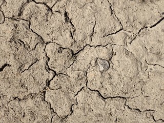 Dried mud. Desert top view. The texture of dried mud.