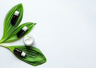Natural organic beauty product concept with green leaf, cream, and essential oil on white background. Spa, skin care, body treatment. Top view, flat lay. 