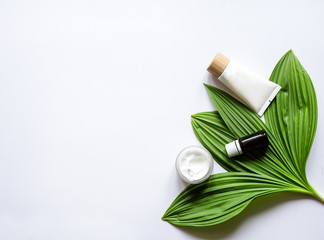 Natural organic beauty product concept with green leaf,  cream, lotion and essential oil on white background. Top view, flat lay. Spa, skin care, body treatment