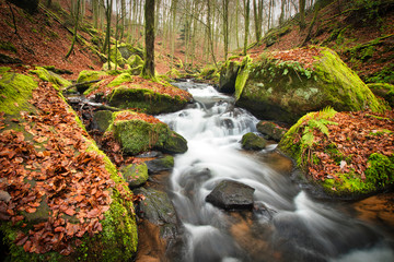 Wasserfälle im Schwarzwald