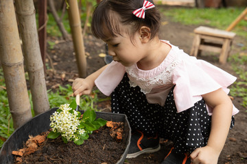 3-year old asian kid do gardening at home