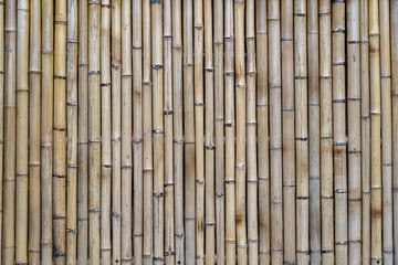 Bamboo fence or wall texture background for interior or exterior design.