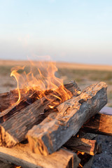 Abstract photo of campfire with burning wood and fiery flames