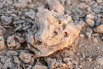 Closeup of the detail structure of a big rock