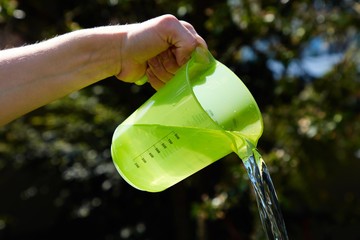 Wasser wird im Sonnenlicht aus einem grünen Becher ausgegossen.