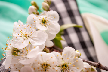flowering trees, branch, cherry blossoms, spring, background for postcards, composition.