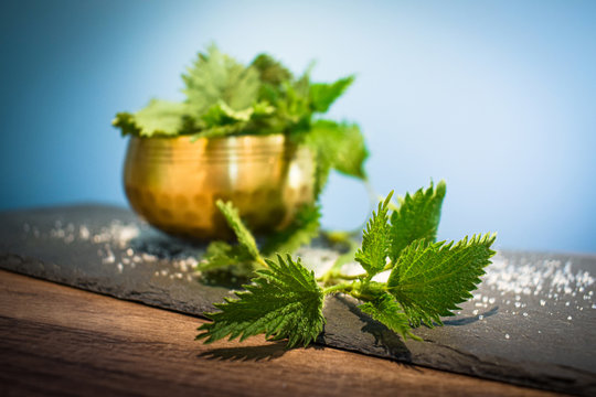 Lebensmittel aus dem heimischen Garten und umliegenden W&auml;ldern