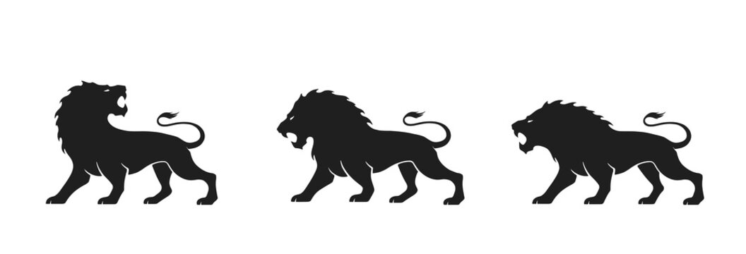 lion icon set. image of animal for emblem and logo. courage, valor and power symbol